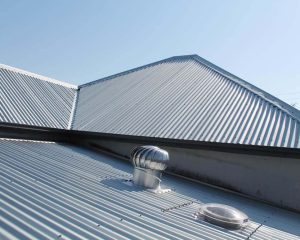 Transparent Roof Restoration