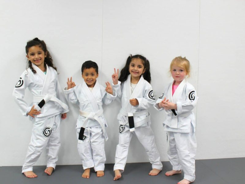 school jiu jitsu kids